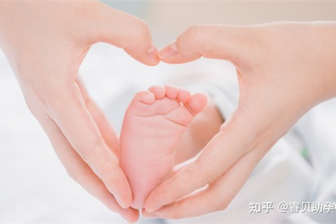 http://zhongshan.nbgk120.com/post/197.html|中山捐卵费用